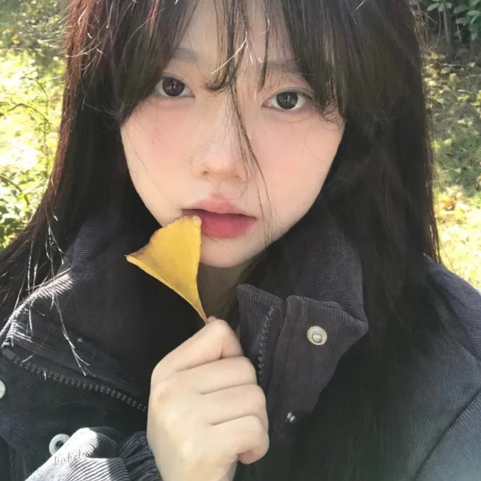 野犬撕碎了那女孩的白婚纱