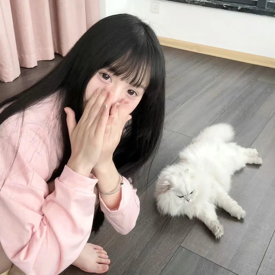 女帝攻略手册78集